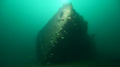 Sula Diving Spotting top from the Kaiser