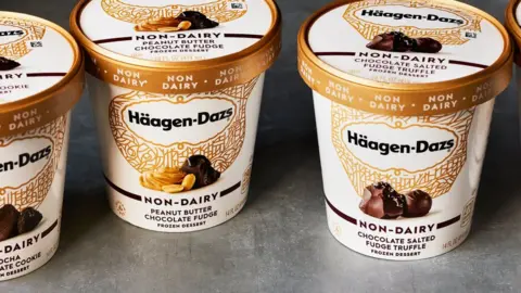Haagen dazs Haagen Dazs dairy free varieties
