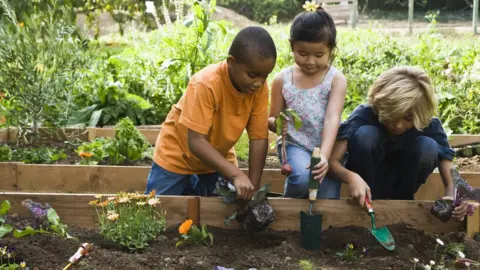 Getty Images children gardening