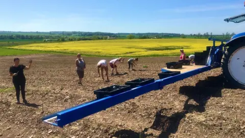 Lunan Bay Farm Pickers in the fields