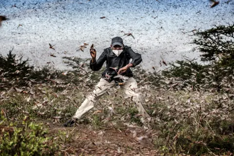 Luis Tato Man surrounded by a swarm of locusts