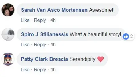 Facebook Screen shot of three Facebook posts reading reading "Awesome!!", "What a beautiful story!" and "Serendipity"