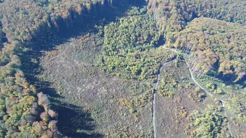 YouTube Drone footage of illegal logging in Romanian national park