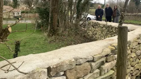 Carmelo Garcia Sycamore Grove Wall