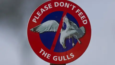 Getty Images Don't feed the birds sign