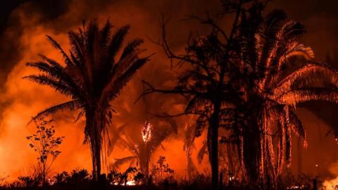 Amazon fires at 13-year high for June - BBC News