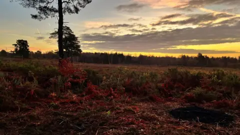 hfarenden SATURDAY - Bracknell Forest