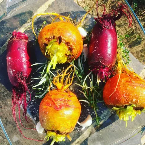 Judith Sales Beetroot