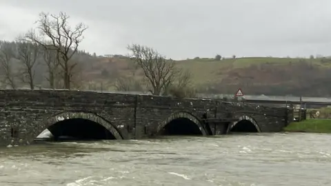 The Dyfi Bridge