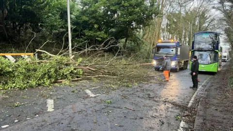 James Walker A tree blocks the road