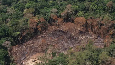 Getty Images Deforestation in Brazil