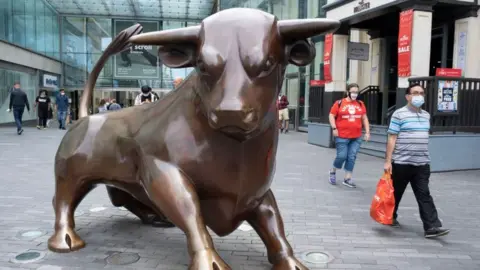 Getty Images Birmingham bull