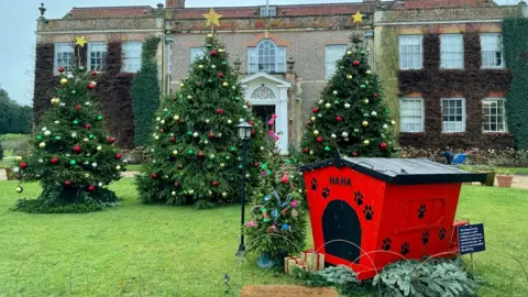 Bumble bee FRIDAY - Hinton Ampner