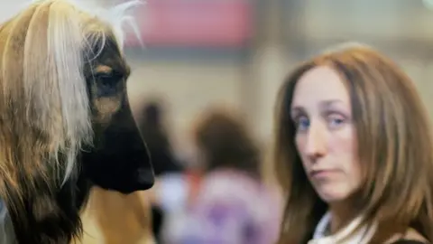 Getty Images Afghan Hound