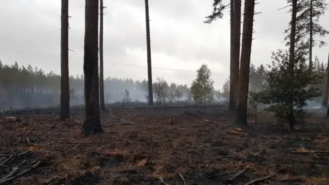 DWFireRescue Boveridge Heath