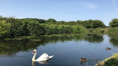 Luke and Nicola Wildlife in Worksop