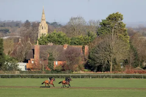 PA Media Horses on the gallops in Newmarket
