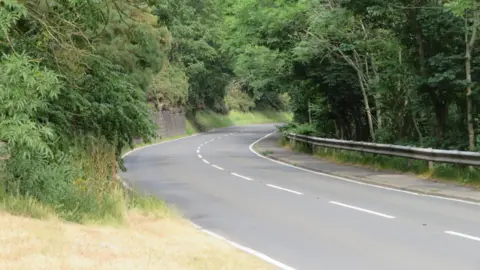 MJ Richardson A winding country road with trees down both sides and some overhanging with a patch of sun-bleached grass in the foreground. There is a length of stone wall on one side and crash barriers on the other.