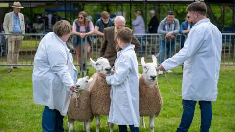 J&PR Ltd Three people - a woman, a young boy and a man are facing away from the camera, wearing long white coats. They are holding three sheep which are on leads. They are in a show pen with green grass and grey metal fences. There are people watching on from the other side of the fence.