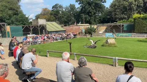 A small grassy arena with seating around the edge, with about 100 people sitting down watching a falconry show. 