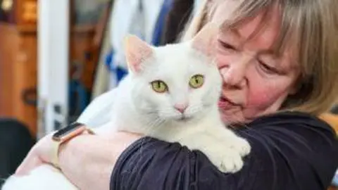 A white cat is looking at the camera as she is being hugged by a woman with grey hair. The woman is wearing a dark-coloured jumper.