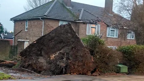 A tree is brought down in storms in Essington, Staffordshire, landing on a house and damaging roof tiles and front of property. The roots have upended a huge section of ground as the tree was toppled.