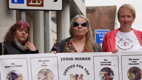 PA Media Three protesters outside Chelmsford Magistrates' Court ahead of one of Jodie Marsh's hearings there. They are holding up a banner with pictures of several animals on it.