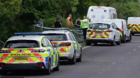 Eddie Mitchell A line of police cars, plus a van, on a road lined with trees