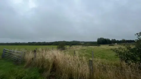 LDRS Green fields separated by wire fences. In the foreground is long brush and in the distance is woodland.