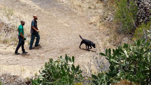 Dogs search for Jay Slater in the Tenerife countryside