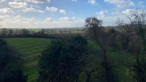 Laura Coffey/BBC A view of fields and trees on a sunny day with bright blue skies and white clouds. 