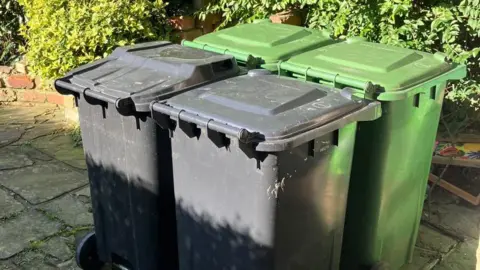 BBC/Steve Jones A picture of two green and two black bins, neatly organised in two rows in front of a house.