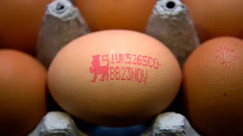 Alamy An egg with a British Lion mark on
