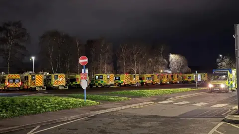 A row of ambulances lined up by a grass verge at night time. Another ambulance can be seen driving on a nearby road. 