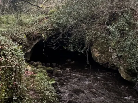 A stream flows out of a low cave entrance, which is covered in trees and ivy