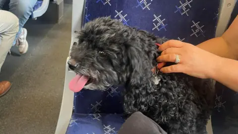A black dog with her tongue out, sitting on a train seat. She is being held by the collar by a women's hand which has a diamond ring on one of the fingers. 
