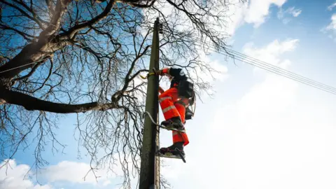 Jersey Electricity A man climbing up a pole in his orange work gear to look at the electricity. A tree can be seen to the left and blue cloudy skies behind.