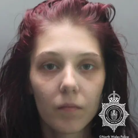 North Wales Police Shannon Ives' mugshot. She is staring at the camera. She has blue eyes, a nose stud and dyed purple hair 