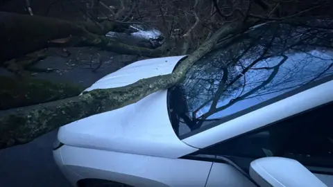 Will Green A tree branch which has struck the front windscreen of a white car.