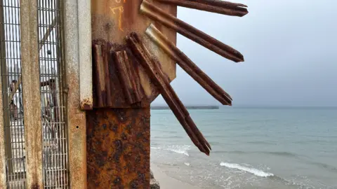 Rusty metal spikes on a gate. 