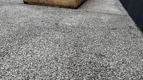 Concrete made from shells