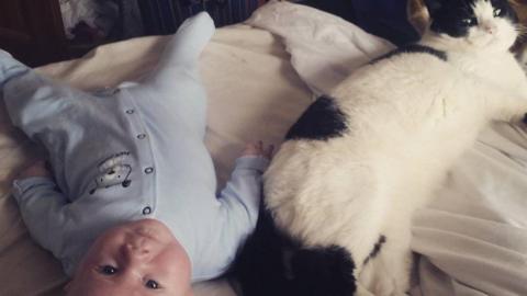 A baby in a blue babygrow and a black and white cat, both lying on a bed and looking at the camera