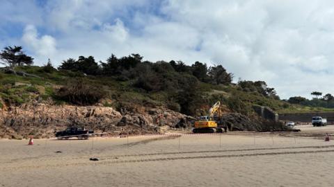Trees being removed on St Brelade's Bay 