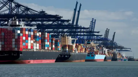 Several well-loaded container ships docked at a trading port with lots of gantry cranes in the background
