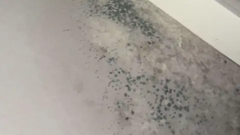 Shania Brannigan Walls specked with dark blobs of mould.