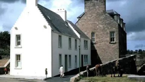 Marc Edwards Horses grazing on grass beneath a bridge and old buildings, with a young man watching them.
