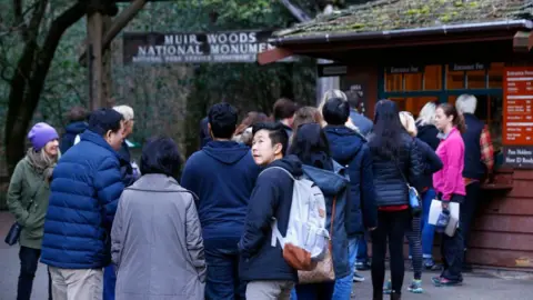 San Francisco Chronicle via Getty Images A line of visitors waiting to check in at visitor center at Muir Woods National Park 