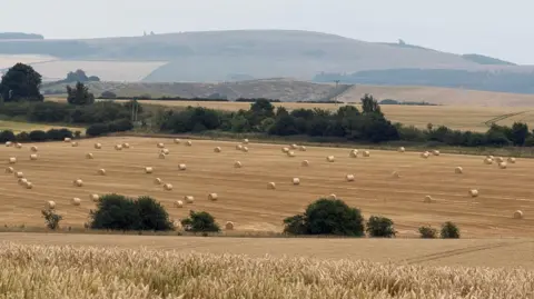archer Landscape with a field of wheat in the foreground, leading onto a field with bales of hay, and an embankment with trees behind it. Further in the distance is a rising hill, with one or two trees on the hazy horizon.
