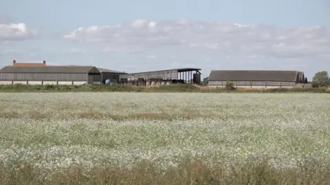 A summer view of farmland and barns with a blue sky