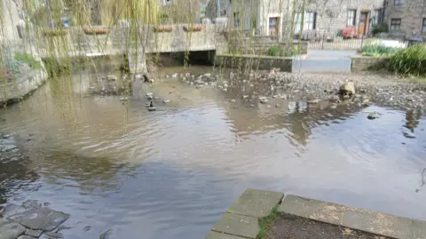 Chris Tribe A large pond with brown water and a few ducks. There are overhanging green trees and lots of rocks in the water.